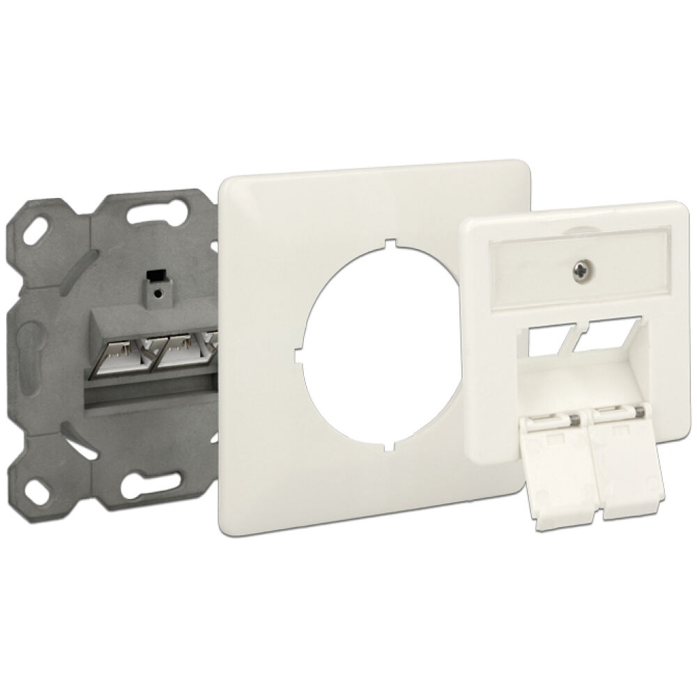 DELOCK Modular Wall Outlet Δικτύου, Cat.6A, 2x LSA, 2 Port - Image 2