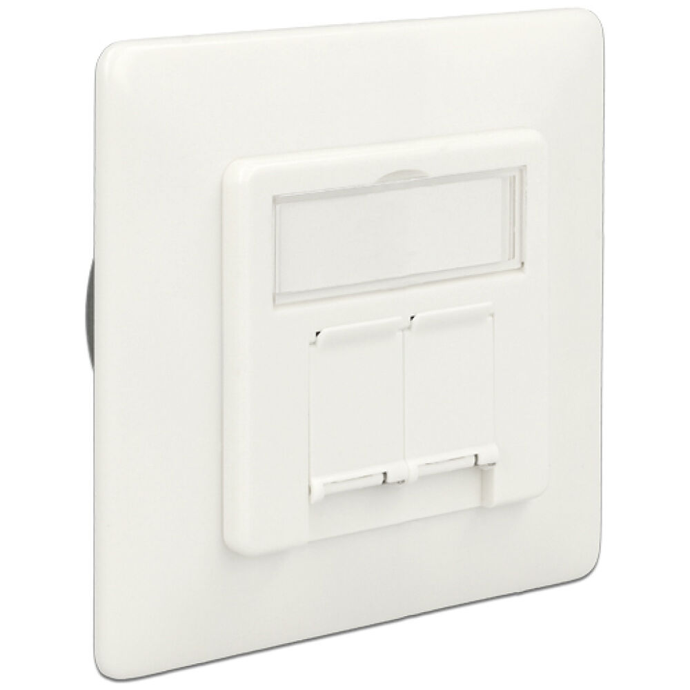 DELOCK Modular Wall Outlet Δικτύου, Cat.6A, 2x LSA, 2 Port