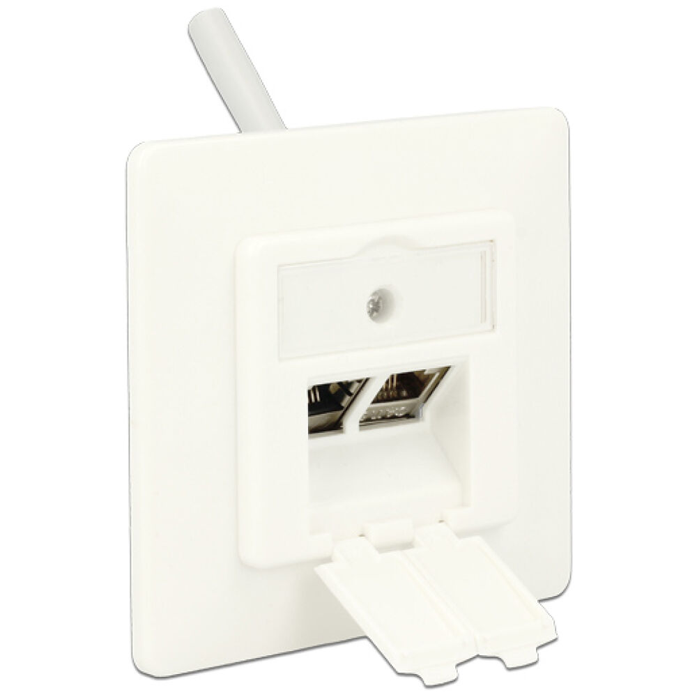 DELOCK Wall Outlet για Keystone 86219, 2 Port - Image 3