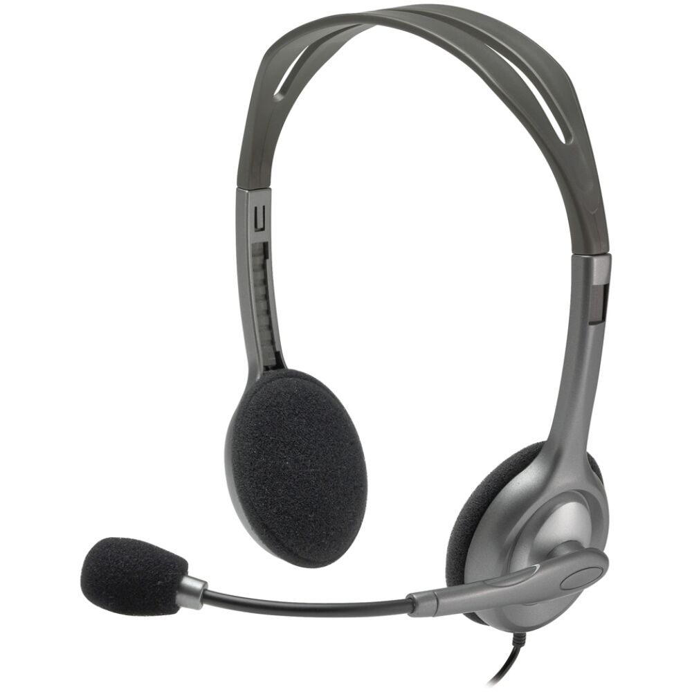Logitech H110 Headset (LOGH110)